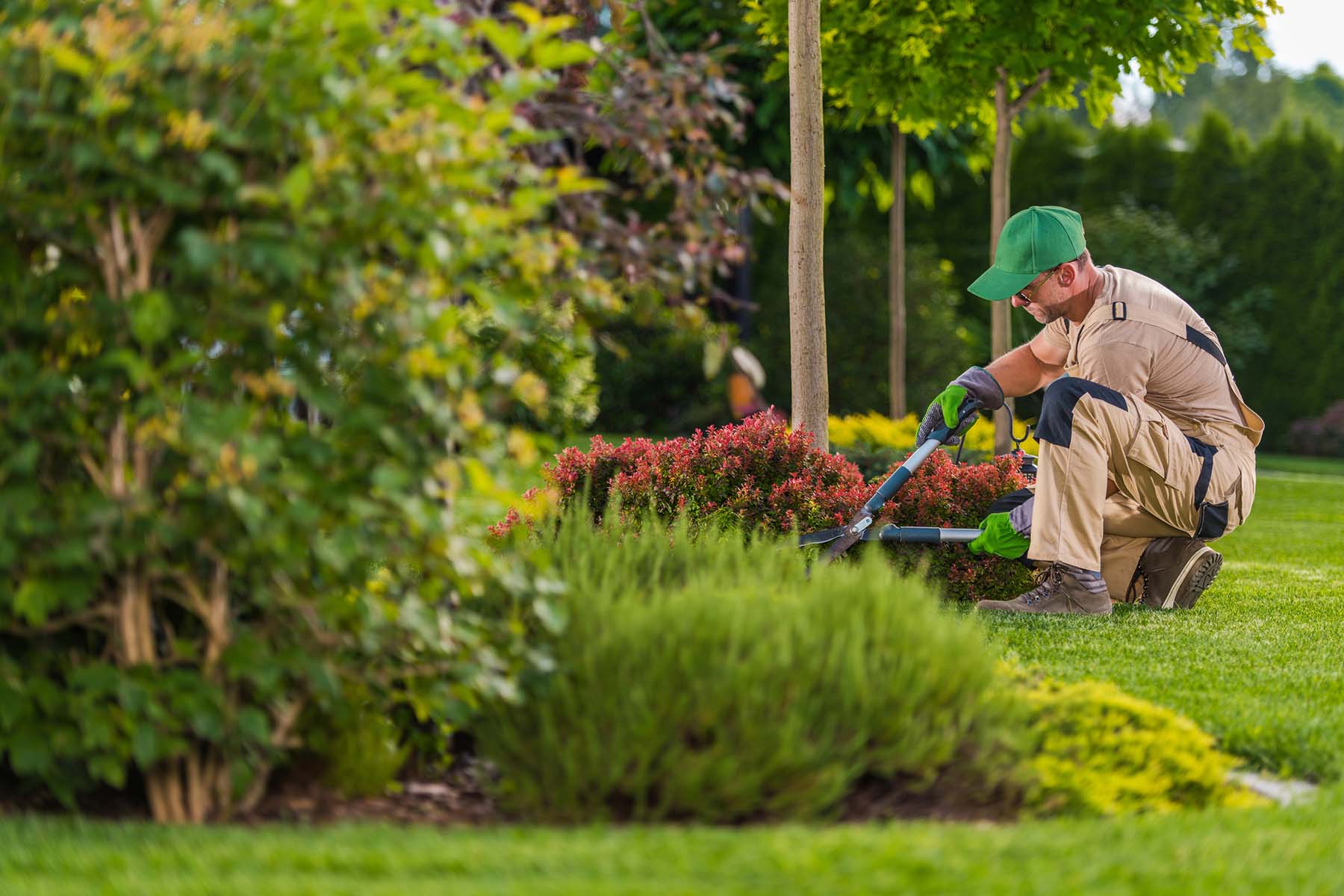 Garden maintenance in Gloucestershire