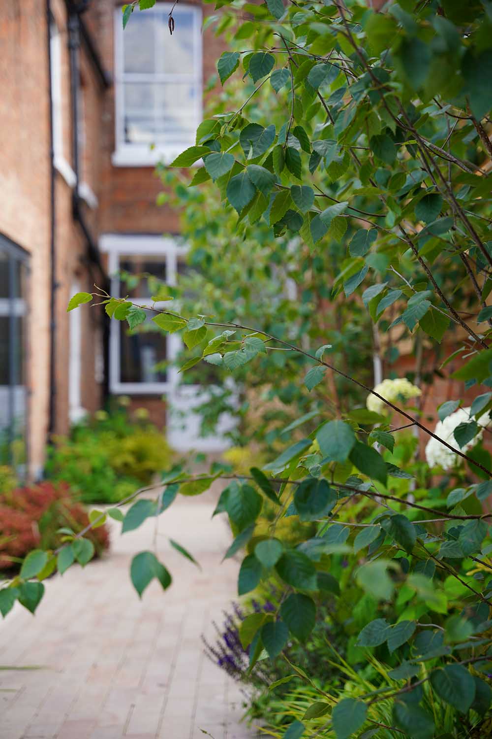 Heath Terrace