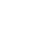 placeholder Pin white icon