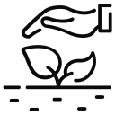 sprout icon